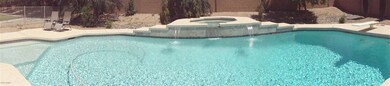 pool pan