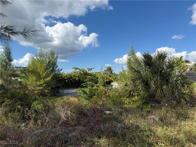 1120 SW 18th Ave, Cape Coral, FL 33991 - photo 4