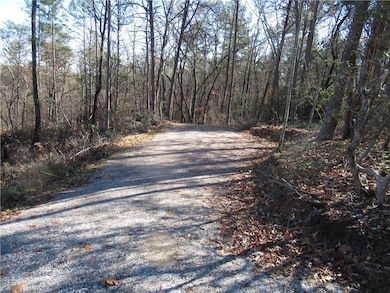 Tracts 34, 35, 36 Curts Way, Cleveland, SC 29635 - photo 6