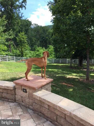 676 Timberland Manor Dr, Bentonville, VA 22610 - photo 7