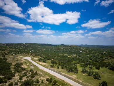 Bird's eye view of a forest