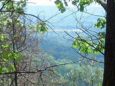 View #3