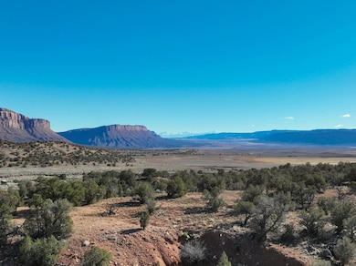 0 Tbd unit 42825, Paradox, CO 81429 - photo 7