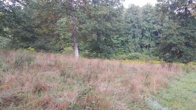 20150910_084502 (800x450)