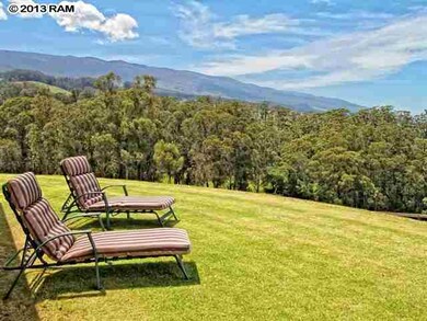 2000 Olinda Rd, Makawao, HI 96768 - photo 7