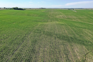 816 Willard Ave, Genoa, NE 68640 - photo 3