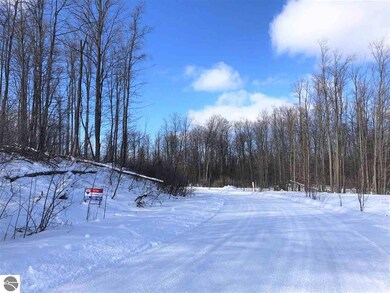 8314 Boca Vista Trail unit 2, Elmwood Charter Township, MI 49684 - photo 4