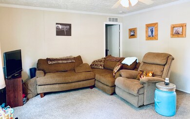 219 SW Shellcracker Dr, Fort White, FL 32038 - photo 4