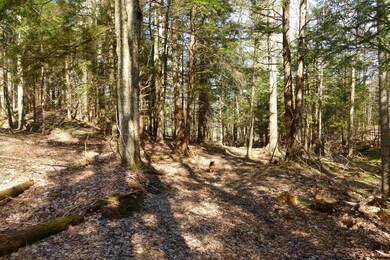 0 Small Farm unit 4665170, Morristown, VT 05661 - photo 4