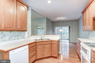 6404 Hickory Overlook, Columbia, MD 21044 - photo 6