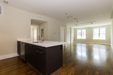 10 Saint George St unit 104, Boston, MA 02118 - photo 3