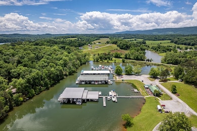 184 Waters Edge Dr, Spring City, TN 37381 - photo 3