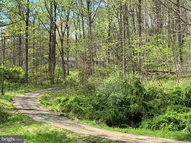 6420 Carters Run Rd, Marshall, VA 20115 - photo 3