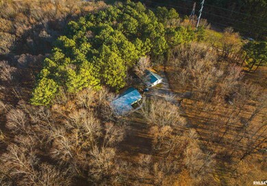 15247 Laminack Rd, Carterville, IL 62918 - photo 4