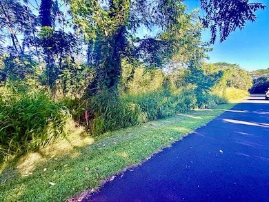 1501 Oio St, Hawaiian Beaches, HI 96778 - photo 6