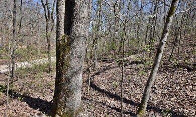 29275 Buffalo Hunt Ridge Rd, Proctor, OK 74457 - photo 6