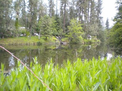 2500 Bison Place, Gold Hill, OR 97525 - photo 3