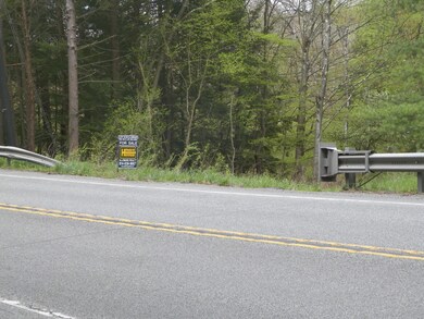 0 Patchin Hwy, Cherry Tree, PA 15724 - photo 3