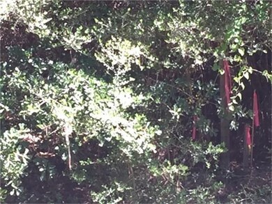 0000 Breckenridge, Magnolia, TX 77354 - photo 4