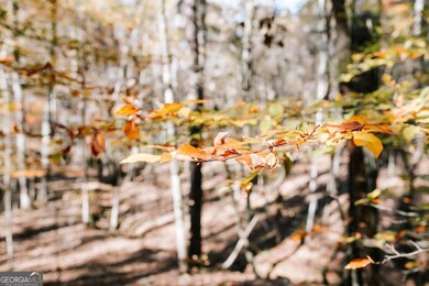 0 Greensboro Rd unit 10649352, Crawfordville, GA 30631 - photo 5