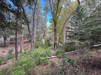 0 Round Robin Dr unit 219139116DA, Idyllwild, CA 92549 - photo 6