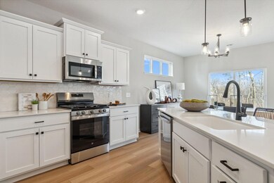 6050 157th St N, Hugo, MN 55038 - photo 7