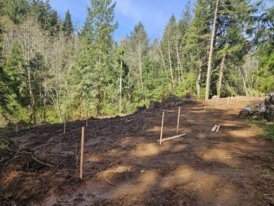 TL#1500 Vl Willowbrook Dr, Tillamook, OR 97141 - photo 6