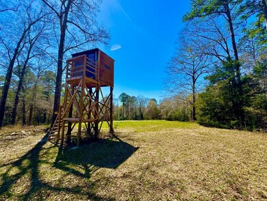 2714 County Road 54, Ozark, AL 36360 - photo 7