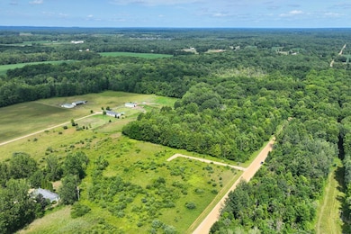 VL 104th Ave, Allegan, MI 49010 - photo 2