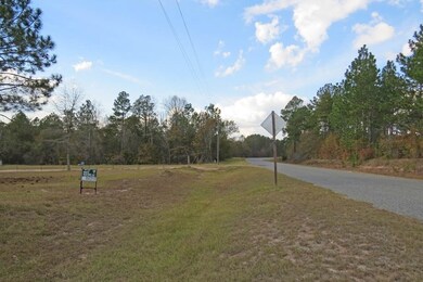 644 Jaybird Helena Rd, Helena, GA 31037 - photo 2