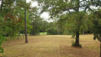 28103 Meadow Forest, Magnolia, TX 77355 - photo 4