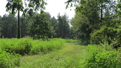 0 Concord Bainbridge Rd unit 259768, Havana, FL 32333 - photo 2