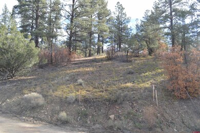 109 Wild Chives Ct, Durango, CO 81301 - photo 6