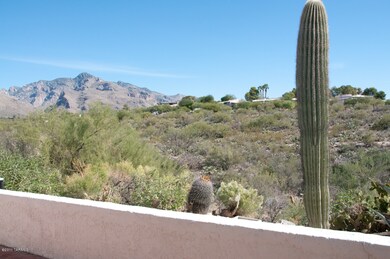 Another View from Patio