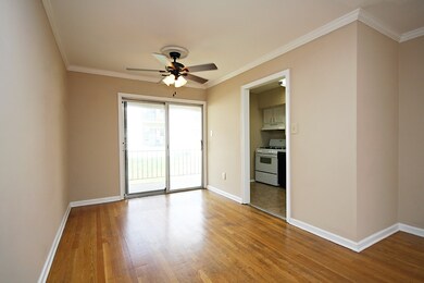 2422 Barracks Place unit 4, Charlottesville, VA 22901 - photo 5