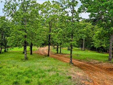 52079 Blemmel Rd, Talihina, OK 74571 - photo 6