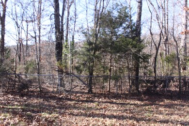 142 Pink Dogwood Trail, Kimberling City, MO 65686 - photo 6