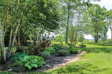 Landscaping along lawn's edge.