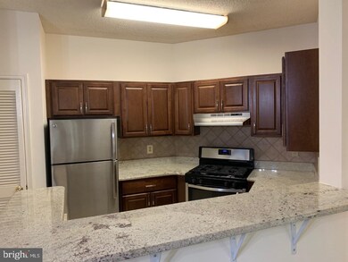 4412 Helmsford Ln unit 102, Fairfax, VA 22033 - photo 4