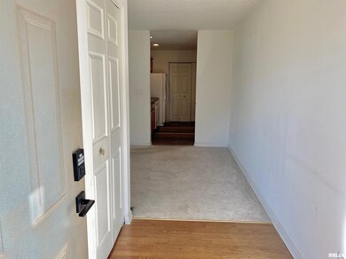 4537 N Thornhill Dr unit 101, Peoria, IL 61615 - photo 3