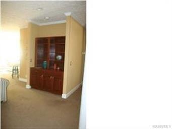 Built-in Cabinets in Great Room