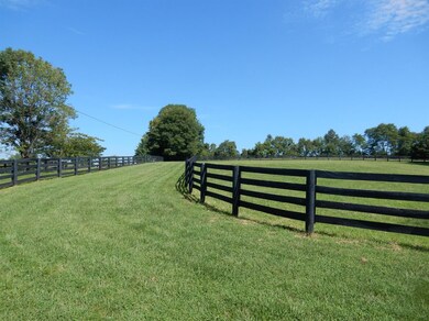 790 Elliston Ln, Versailles, KY 40383 - photo 4