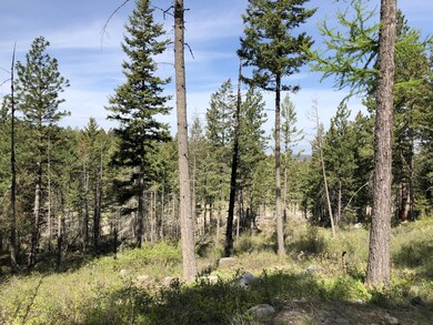 Beautiful Valley Views