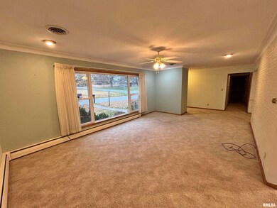 1401 6th St, Orion, IL 61273 - photo 5