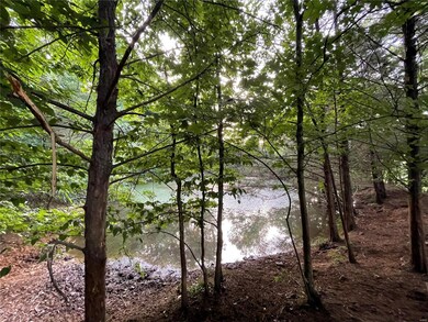Small pond for wildlife & livestock