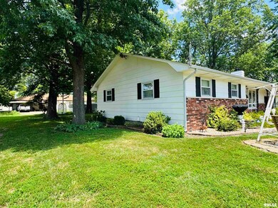 707 W Sylvia Ave, Christopher, IL 62822 - photo 2