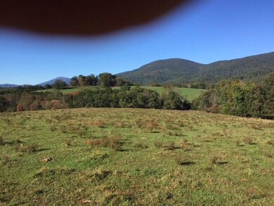 TBD Hillside Ln unit TM 12 A 96, Afton, VA 22920 - photo 7