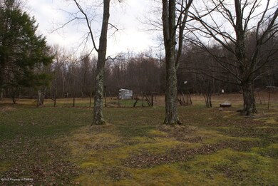 814 Sorber Mountain Rd W, Noxen, PA 18636 - photo 5