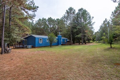 7832 Brest Station Rd, Baconton, GA 31716 - photo 2