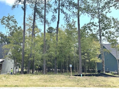 569 Misty Banks Dr, Chapin, SC 29036 - photo 3